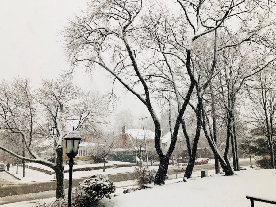 IMG_3305.jpg?type=w966