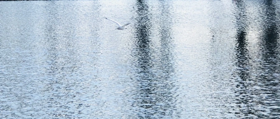 IMG_4219.jpg?type=w966