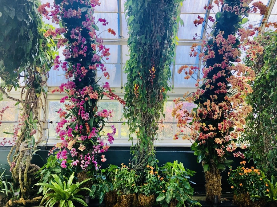 IMG_6296.jpg?type=w966