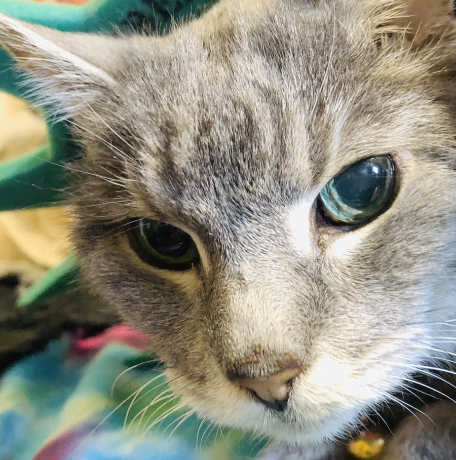 IMG_0354.jpg?type=w966