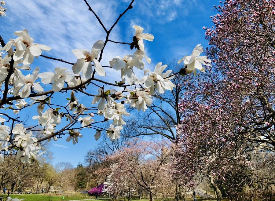 IMG_6659.jpg?type=w966