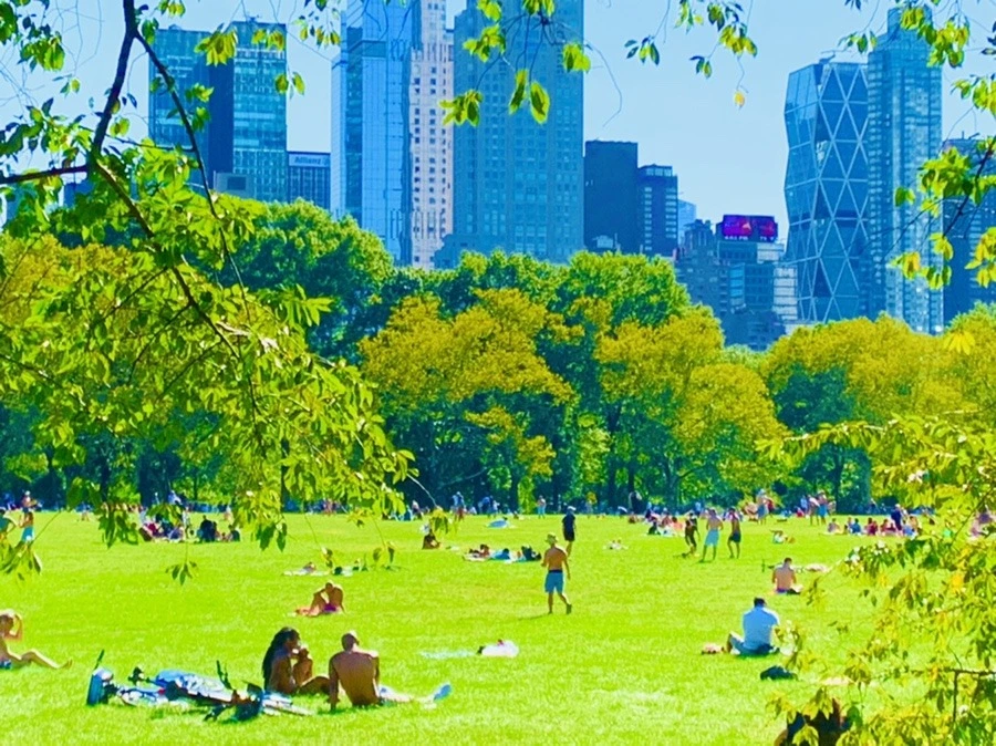 tnhWqLYu6MGLFTk7bpHm01z_bGM