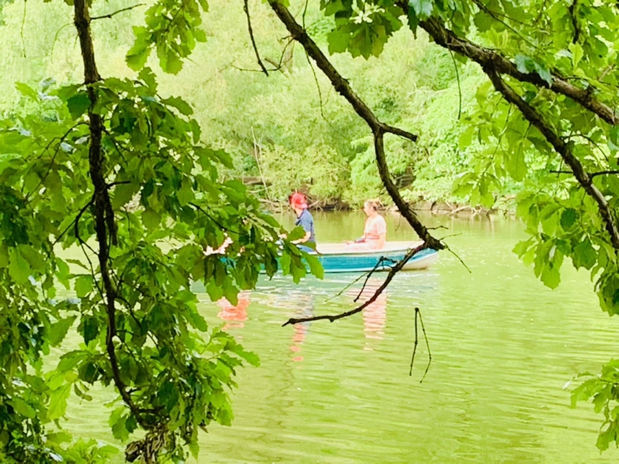 IMG_1760.jpg?type=w966