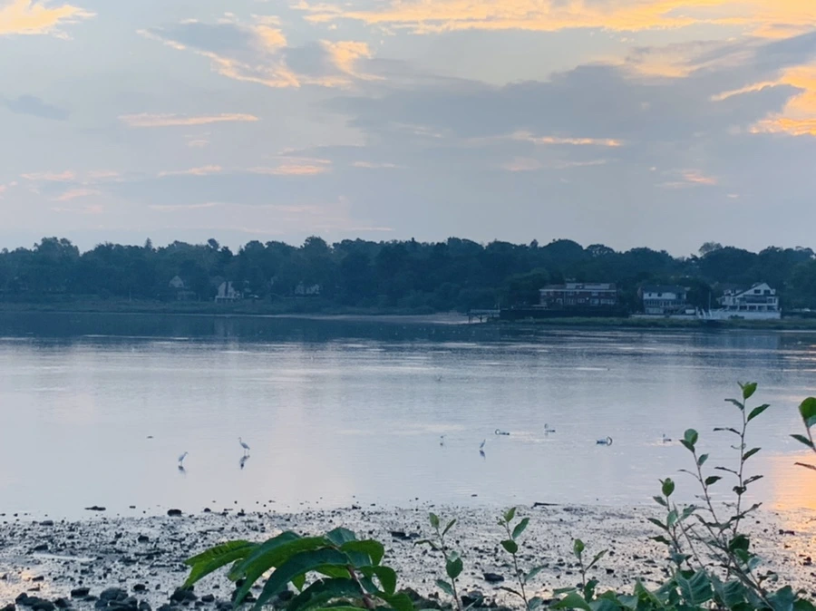 IMG_8189.jpg?type=w966