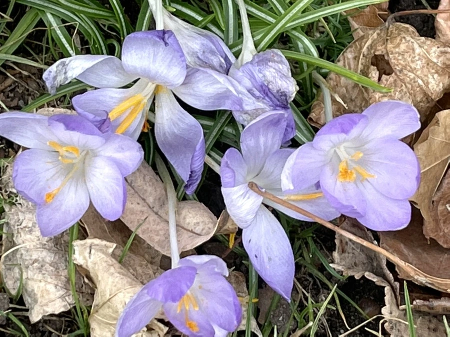 IMG_4067.jpg?type=w966