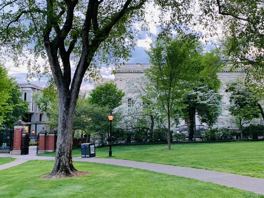 IMG_2563.jpg?type=w966