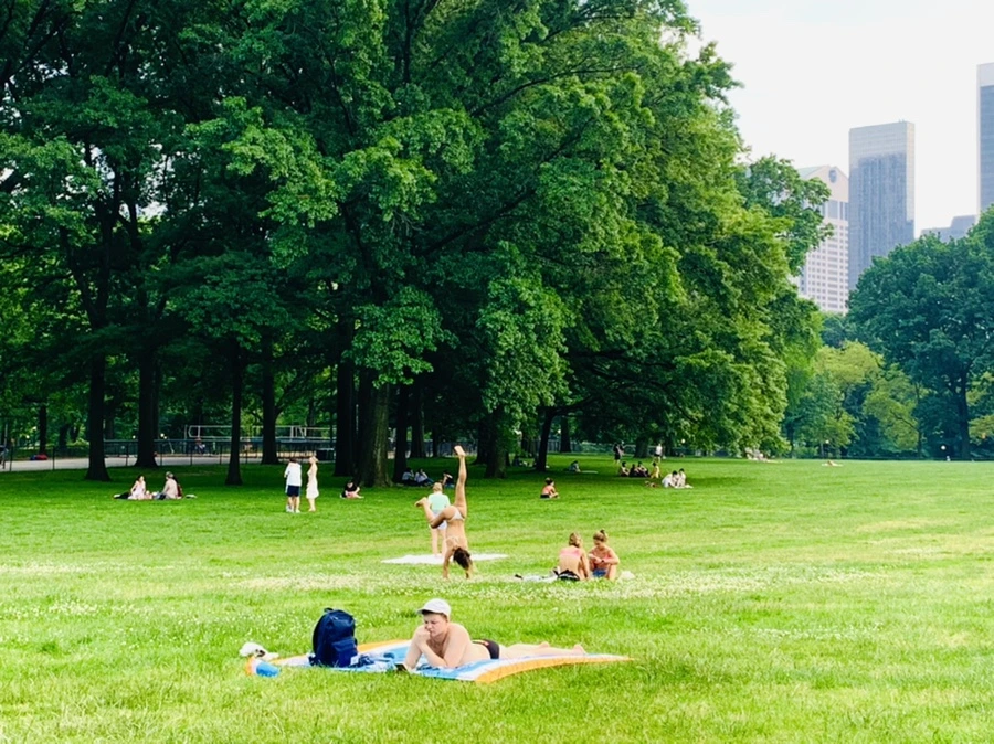 IMG_1656.jpg?type=w966