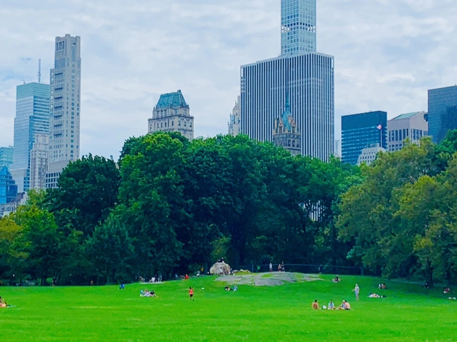 IMG_1564.jpg?type=w966