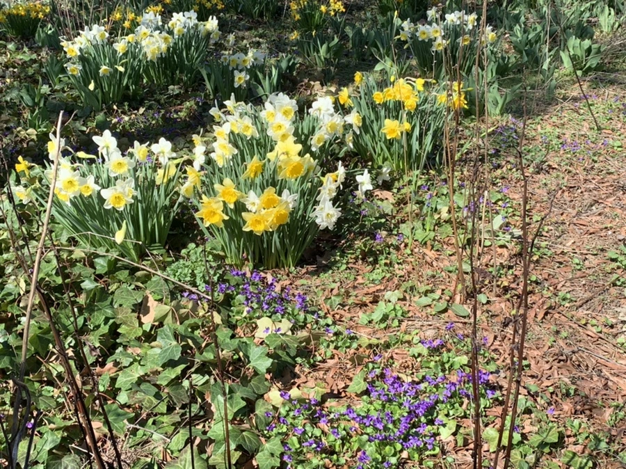 IMG_5767.jpg?type=w966