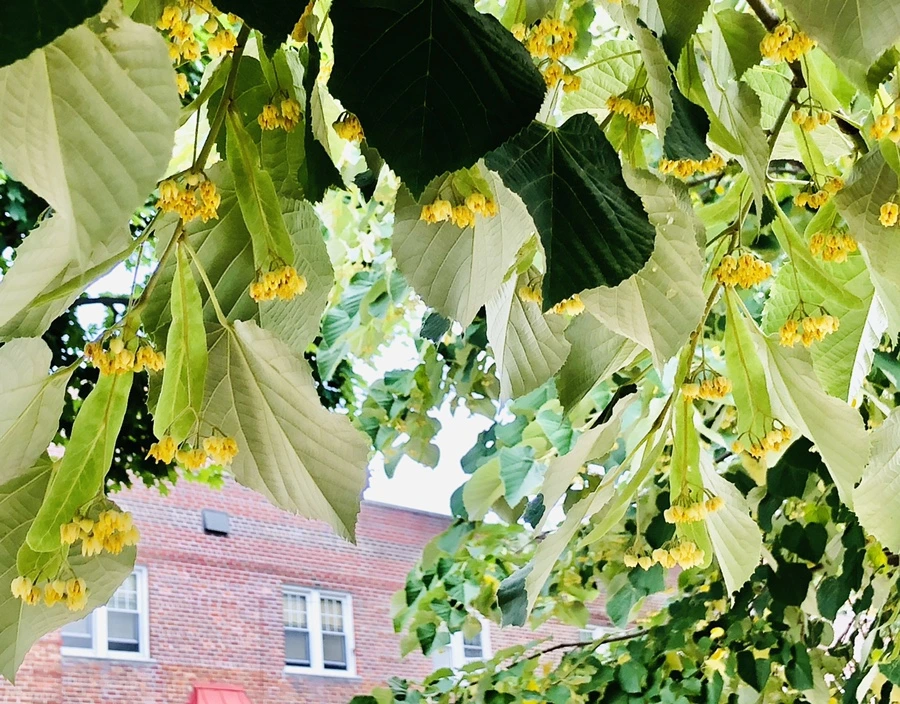 IMG_0584.jpg?type=w966