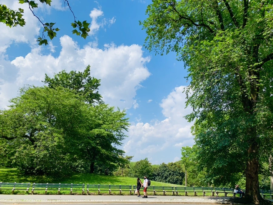 IMG_8614.jpg?type=w966