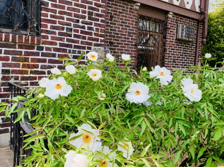 IMG_6822.jpg?type=w966