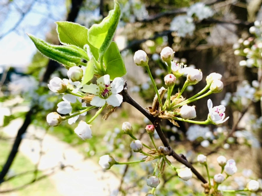 IMG_8590.jpg?type=w966