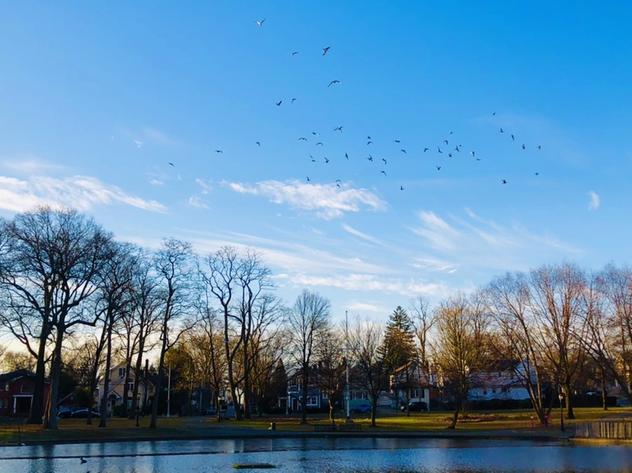 IMG_0900.jpg?type=w966