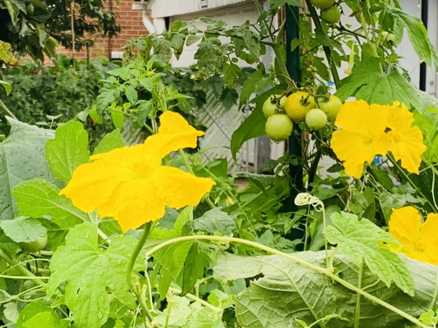 IMG_3690.jpg?type=w966