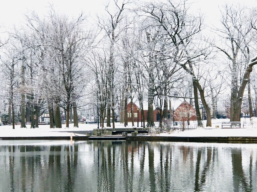 IMG_4479.jpg?type=w966