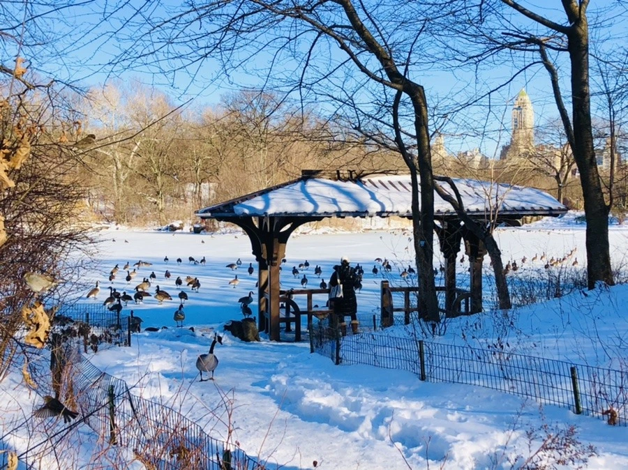 jaewGy6ojXYru2vp16hrndKri_A