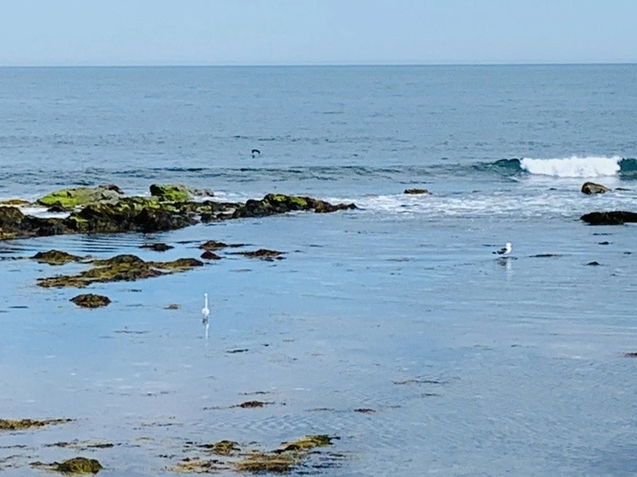 Q9M0hFhDANAeoLpAaJXc7It13Uc