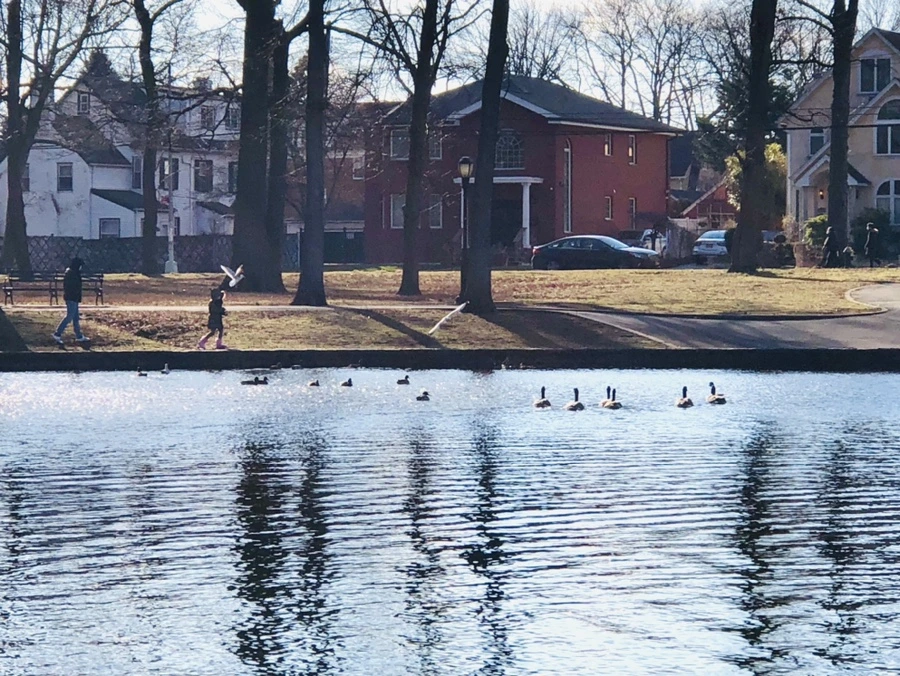 IMG_4195.jpg?type=w966