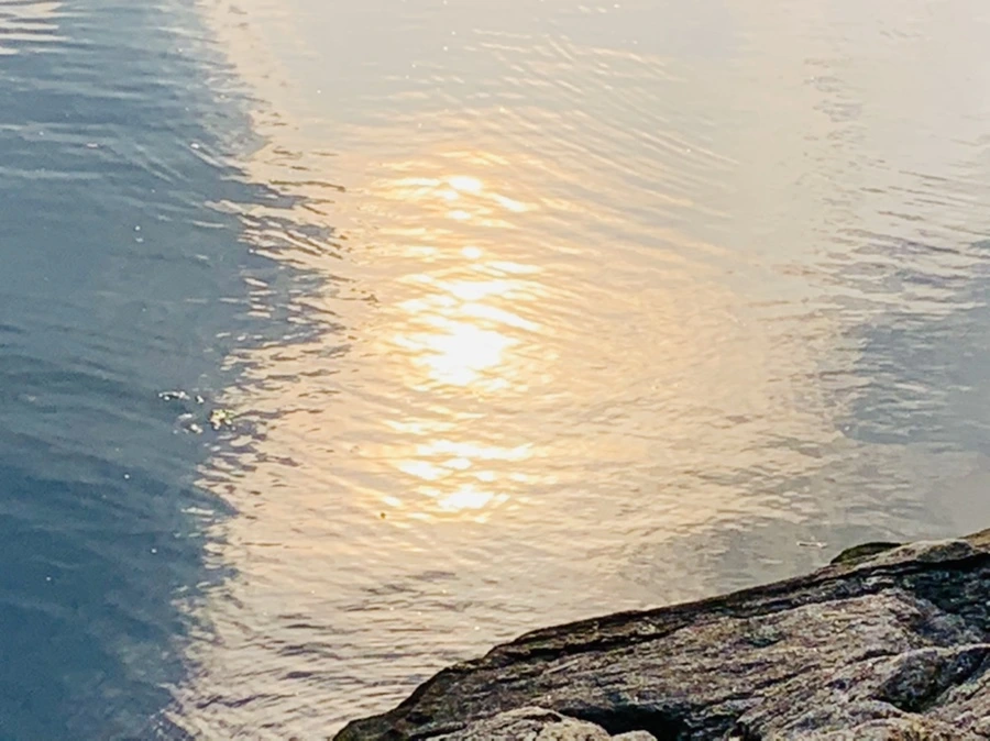 IMG_1596.jpg?type=w966