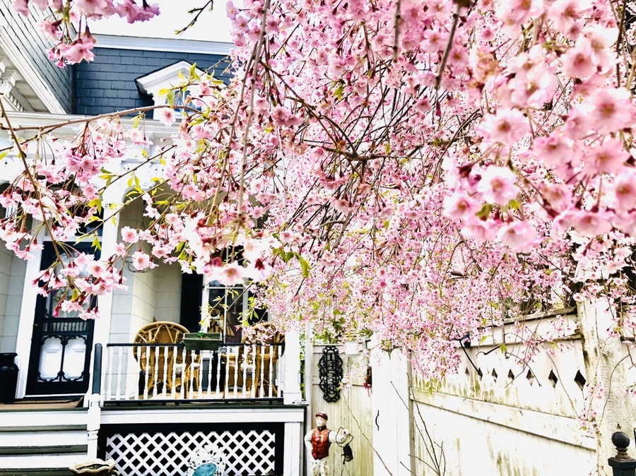 IMG_7101.jpg?type=w966