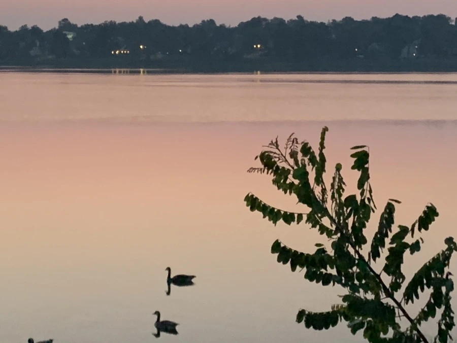 IMG_1843.jpg?type=w966