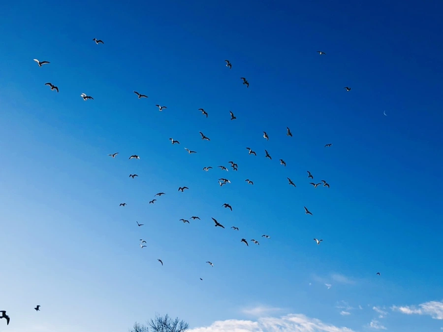 IMG_0898.jpg?type=w966