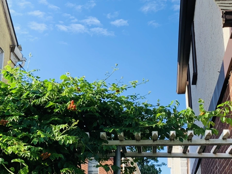 IMG_5262.jpg?type=w966