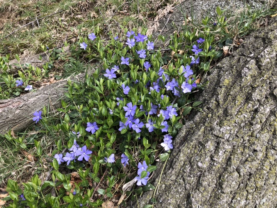 IMG_6561.jpg?type=w966