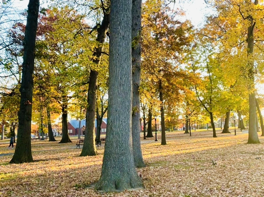 IMG_4083.jpg?type=w966