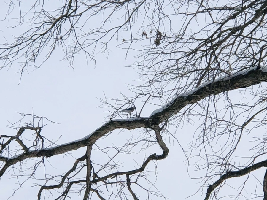 IMG_9463.jpg?type=w966