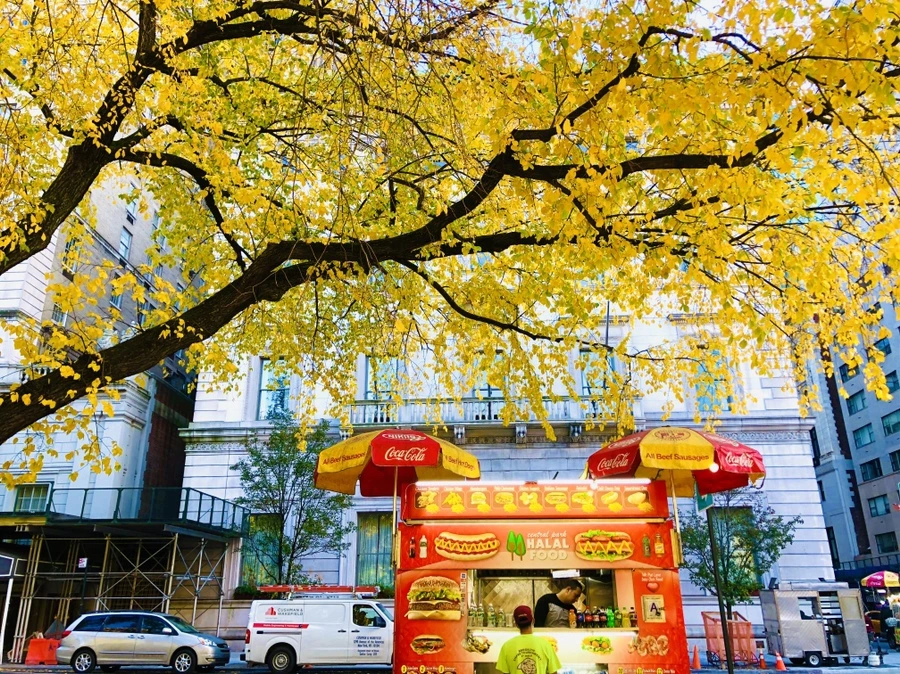 IMG_3746.jpg?type=w966