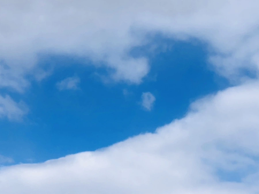 IMG_3892.jpg?type=w966