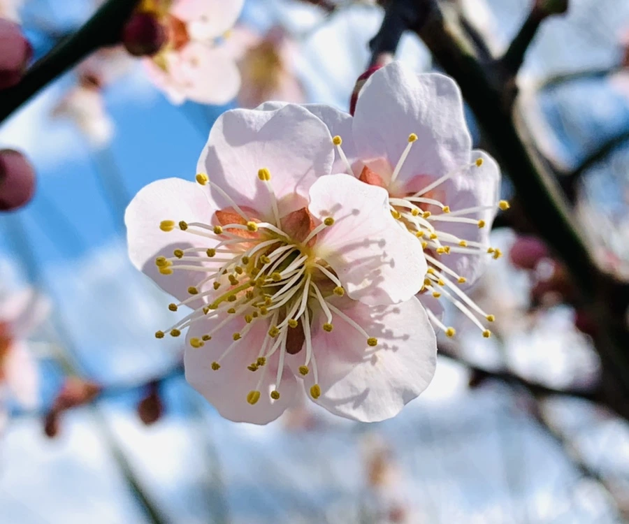 IMG_0974.jpg?type=w966