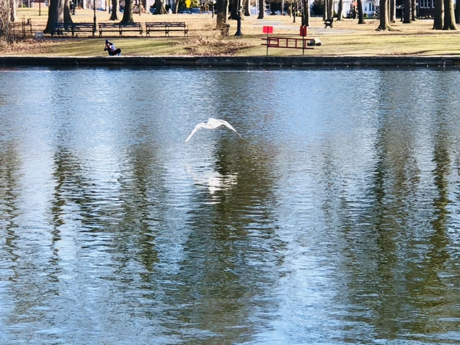 IMG_1341.jpg?type=w966