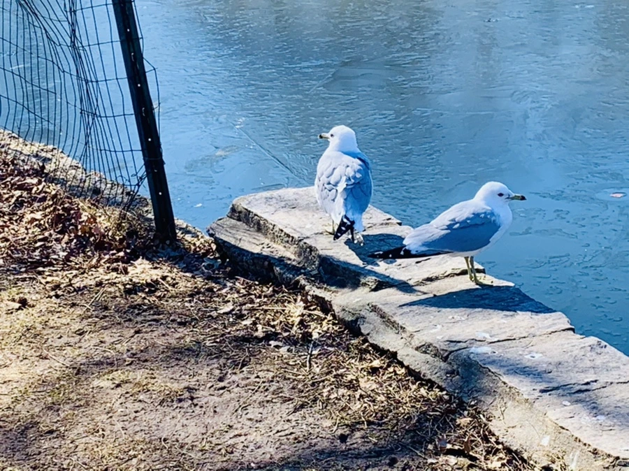 IMG_8901.jpg?type=w966