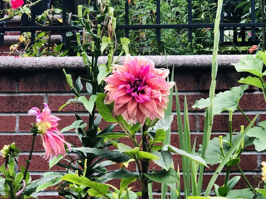 IMG_7755.jpg?type=w966