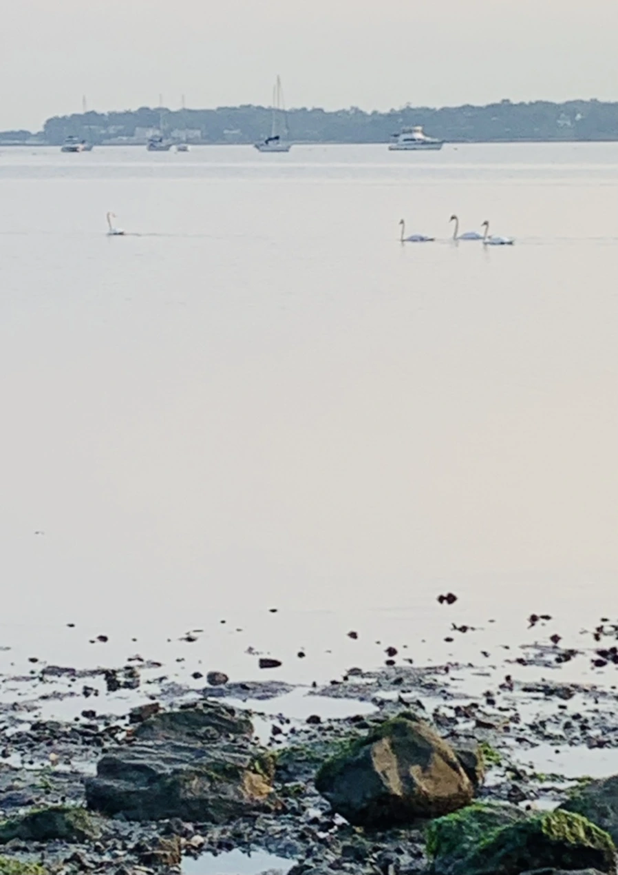 IMG_7835.jpg?type=w966