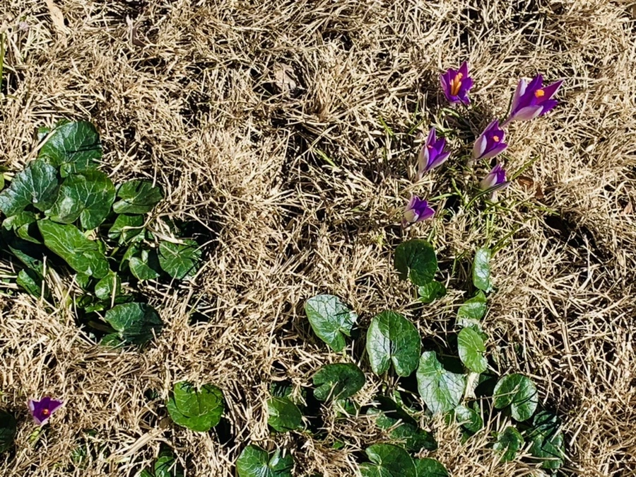 IMG_8231.jpg?type=w966