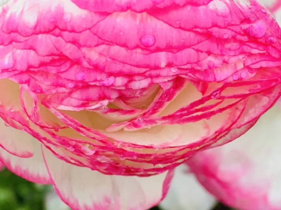 I6g6LLLfwlVXOxq9s9QvtV29WfQ