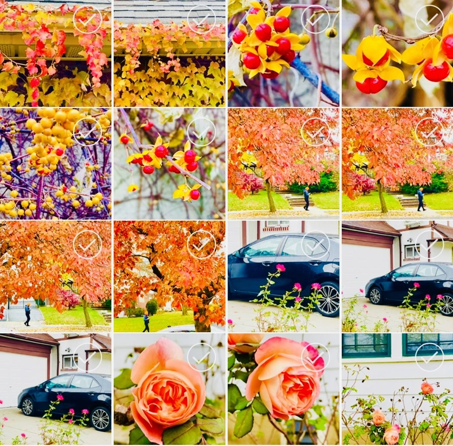 IMG_4469.jpg?type=w966