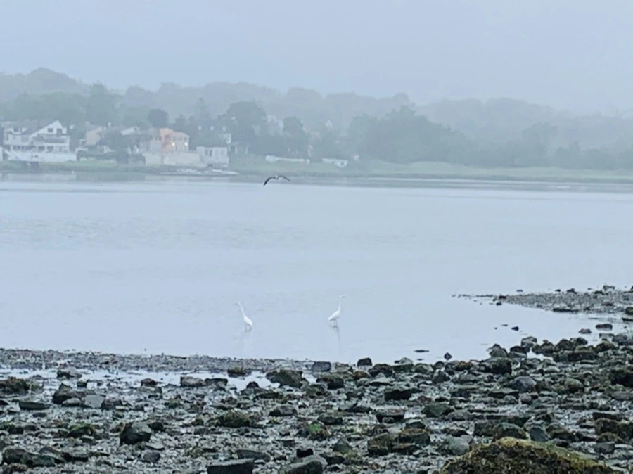 IMG_4724.jpg?type=w966