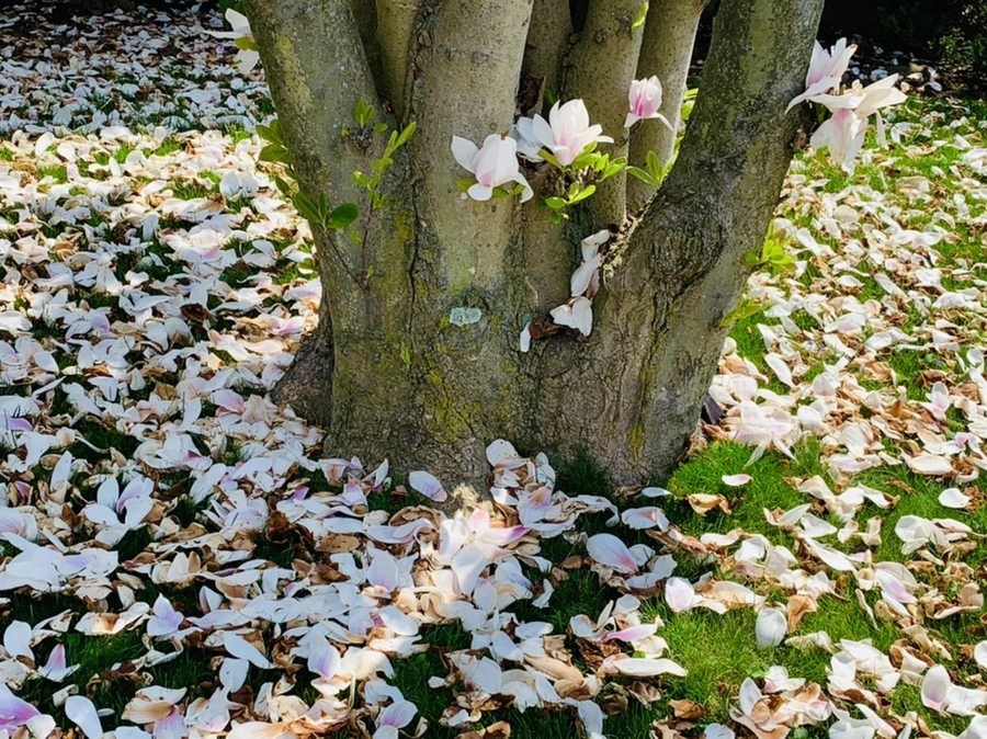 IMG_3938.jpg?type=w966