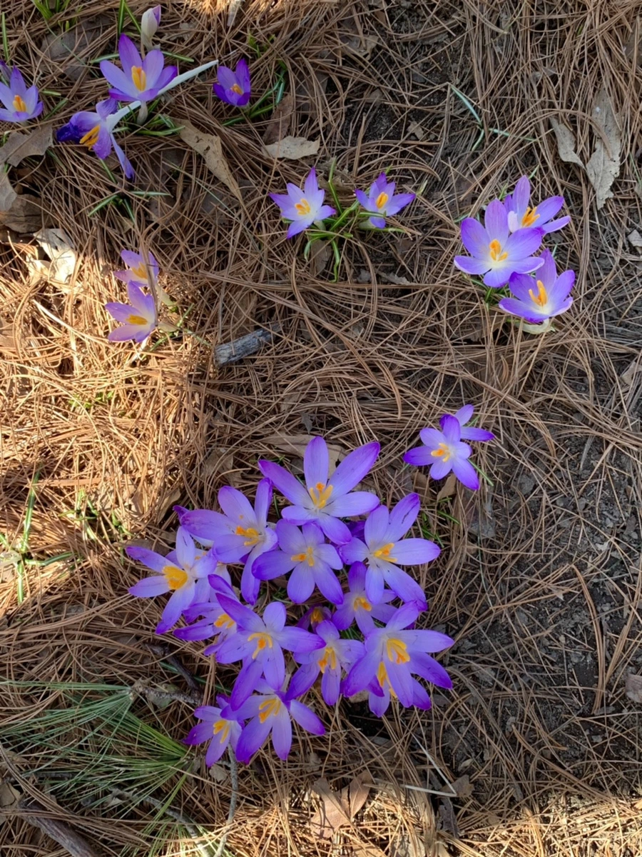 IMG_9676.jpg?type=w966