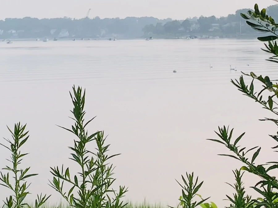 IMG_8520.jpg?type=w966