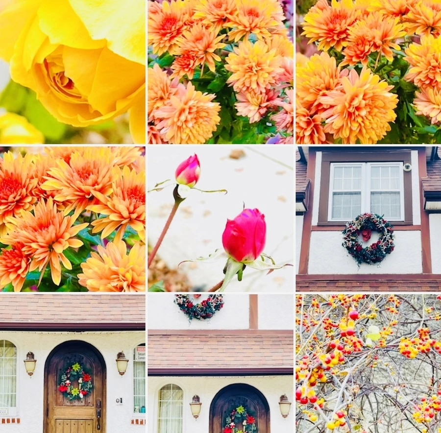 IMG_6226.jpg?type=w966