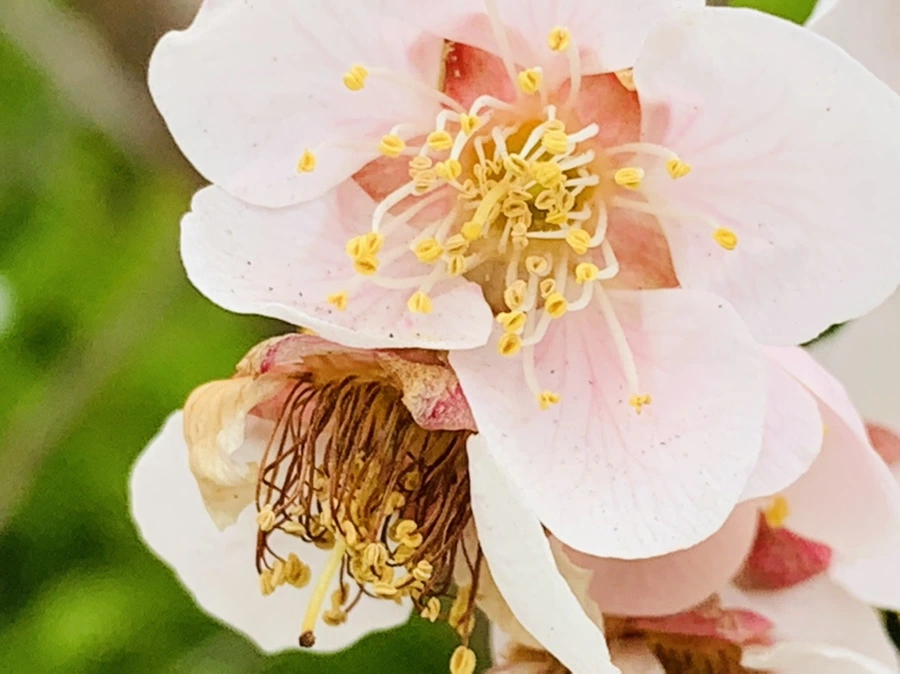 IMG_3571.jpg?type=w966