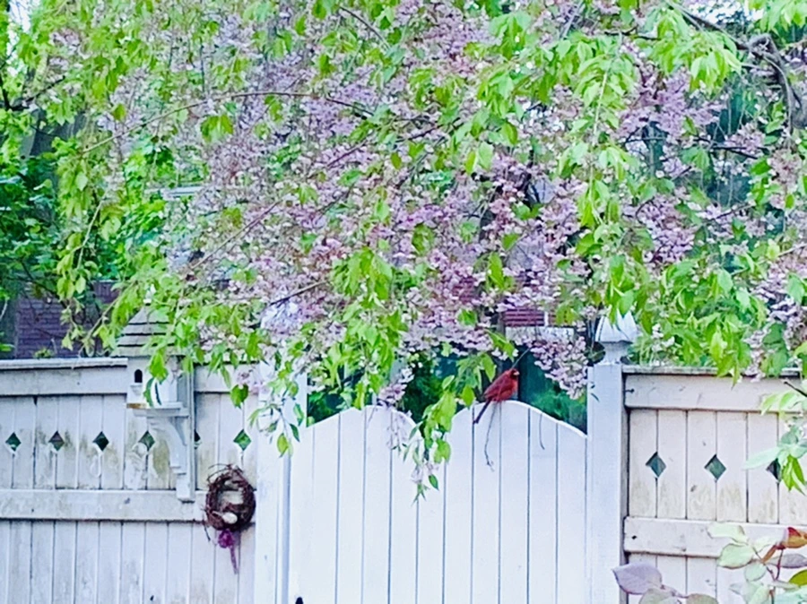 IMG_7557.jpg?type=w966