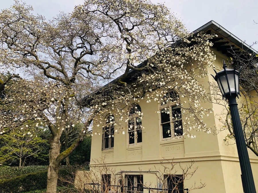 IMG_3835.jpg?type=w966