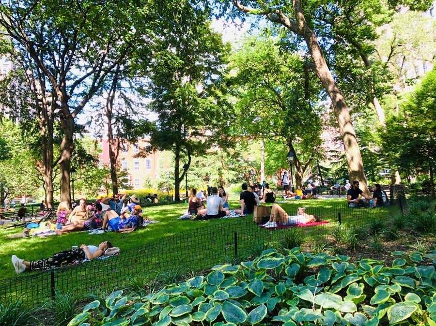 IMG_5437.jpg?type=w966